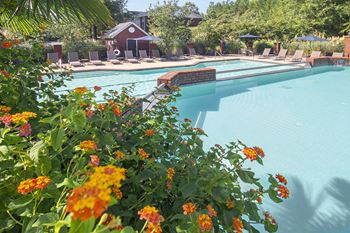 Refreshing swimming pool